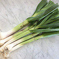 Лук порей Победитель